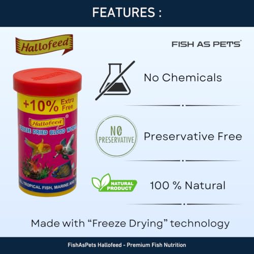 Image of Hallofeed Freeze Dried Blood Worms Fish Food - 22 Grams | Natural High-Protein Aquarium Feed | Enhances Color & Growth for Bettas, Cichlids, Goldfish & Tropical Fish