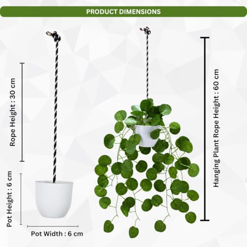 Image of fancymart Artificial Hanging Ivy Plant with White Hanging Pot & Rope, Pack of 2, Realistic Green Leaf Creeper for Home, Office, Living Room & Wall Decor, 60 cm Height