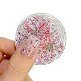 CHUNHE ネイルアートパーツ ドライフラワー ネイル押し花 (カラーC)