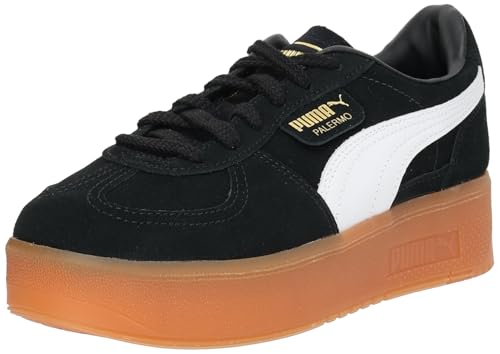 [v[}] Xj[J[ fB[X 25NtăJ[ ubN/K(01) 25.0 cm