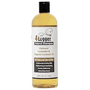 4Legger All Natural Organic Oatmeal Dog Shampoo for Itchy Skin with Aloe, Coconut & Lavender Essential Oil, Hypoallergenic, Moisturizing for Normal, Dry, Itchy, or Sensitive Skin, USA Made, 16 oz