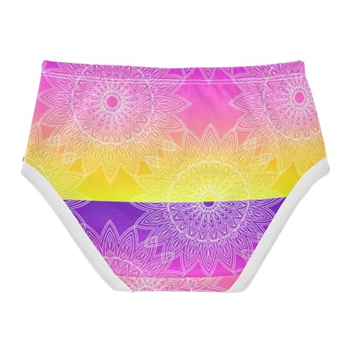 Joisal Vibrant Purple Yellow Gradient Cute Panties Girl Toddler Girls Underwear Cotton Artistic Briefs Undies Kids 2t2