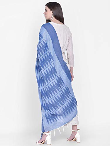 Image of DUPATTA BAZAAR Woman's Embellished Net Dupatta