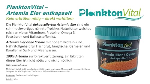 PlanktonVital Entkapselte Artemia-Eier 100ml / 60g – Premium Aufzuchtfutter für Jungfische & Wirbellose – 100% Natürlich, Hoher Proteingehalt, Sofort Verfütterbar – Für Süß- & Meerwasser-Aquarien