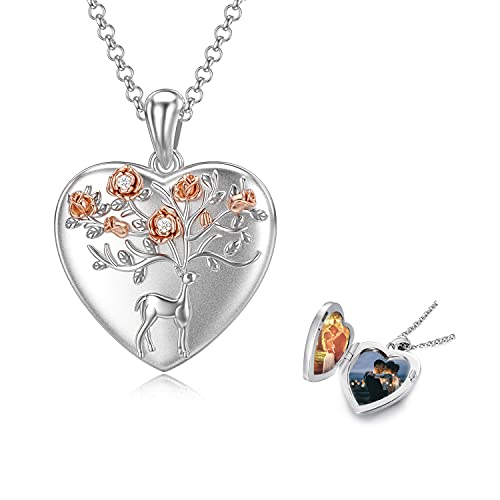 Collier Médaillon de Chaîne de Médaillon d'arbre de Vie à Ouvrir pour des Photos Collier d'amulettePhoto en Argent Sterling 925 pour Noël Femmes Filles Cover