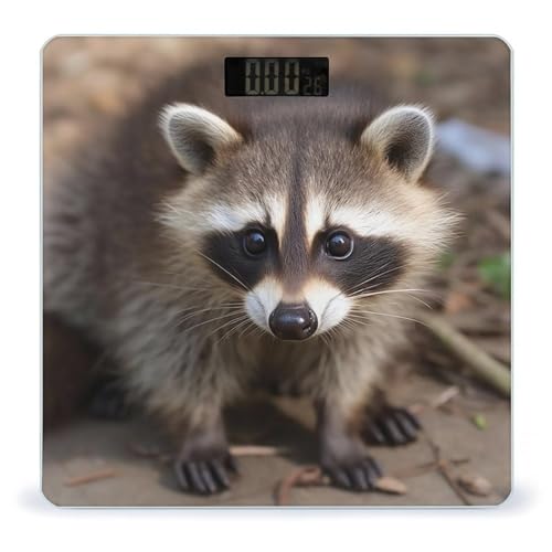 Báscula Digital de Vidrio Templado Cub Raccoon miniatura 1