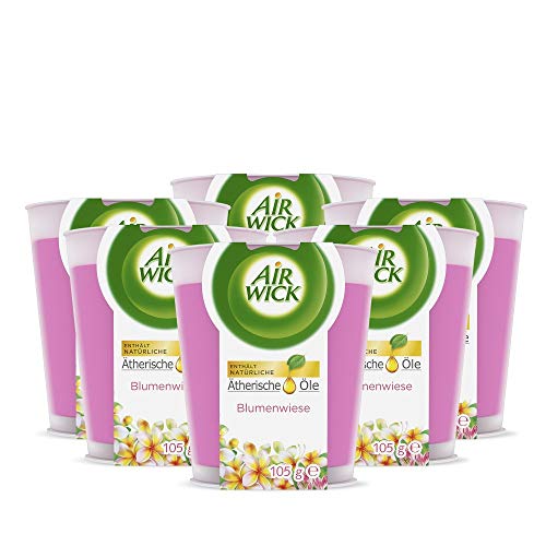 Air Wick Wohlfühl-Duftkerze im Glas – Duft: Blumenwiese – Enthält...