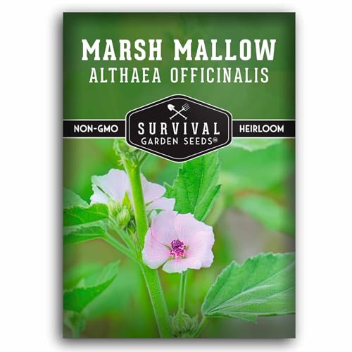 Marshmallow Seeds for Planting - Marsh Mallow Medicinal Herb, Althaea Officinalis, Traditional Root Plant for Herb Garden - Heirloom Non-GMO Open Pollinated - Survival Garden Seeds (1 Pack)