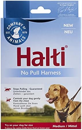 halti lead to stop pulling