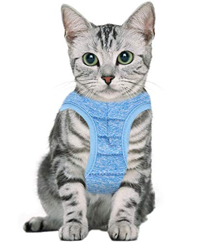 chengsan Ensemble harnais et laisse pour chat - Anti-fuite - Gilet avec laisse - Confortable - Doux et réglable - Pour chiots et lapins - Taille L - Bleu Cover