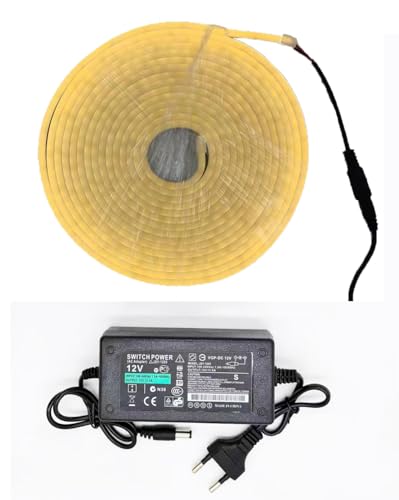 5m Mangueira Fita Led 12v Neon Corte 2,5cm Alto Brilho Ip66 Colorido Com + Fonte (Laranja)