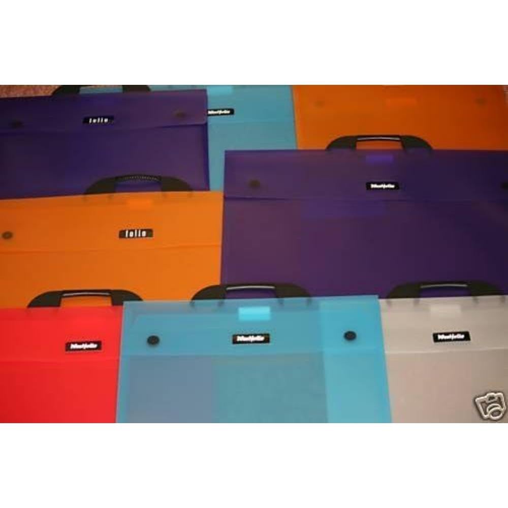 Art Portfolio Folder Raspberry A1, 100 Sheet Capacity, Carry Case Bag For Art, Painting Keeps Paper Flat For Travel