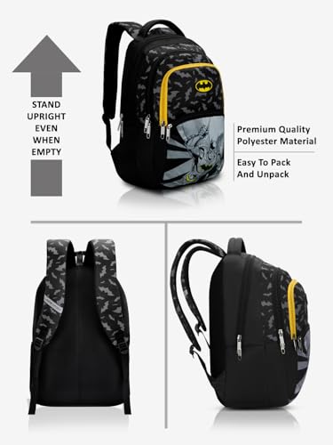 Image of Lavie Sport Batman Knight 30L Black Backpack | Organizer & Bottle Holder | Gift for Men, Women, Boys, Girls | Laptop Sleeve for School & College