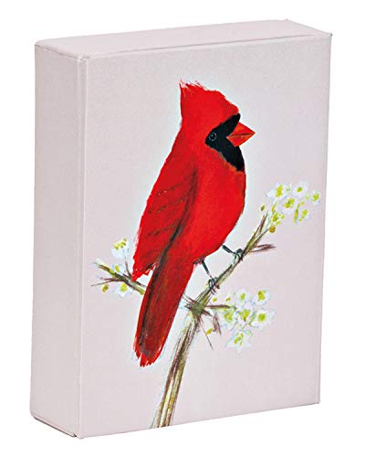 teNeues - Baraja de Póker, 52 cartas coloridas