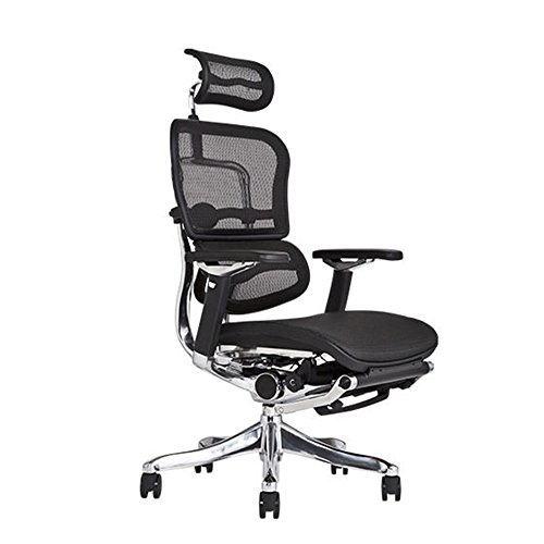 エルゴヒューマン プロの欠点 超インドア派 おじさんシステムエンジニアのブログ