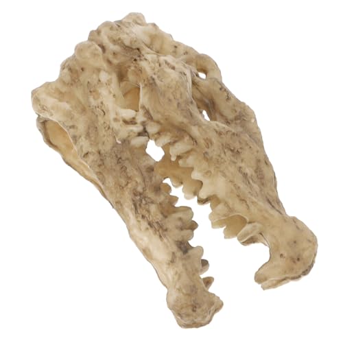 Sosoport 箱 アクアリウム用流木 クモテラリウムキット 水槽の隠れ家 水槽の装飾小 カメの生息地キット テラリウムの装飾 タンク用タートルアクセサリー 亀の隠れ家 亀の水槽 樹脂 Beige