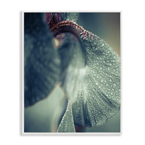 Close Up Iris Petal Botanical Study, 24 x 30 Inch Framed Giclée Print