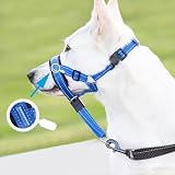 Hundehalfter Kopfgeschirr - Verhindert, DASS Ihr Hund an der Leine zieht, Einfache Anpassung,mit gepolstertem Nasenriemen, Anti-Zug-Halsband für kleine, mittelgroße und große Hundegrößen (Blau, L)