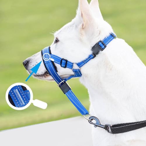 Hundehalfter Kopfgeschirr - Verhindert, DASS Ihr Hund an der Leine zieht, Einfache Anpassung,mit gepolstertem Nasenriemen, Anti-Zug-Halsband für kleine, mittelgroße und große Hundegrößen (Blau, L)