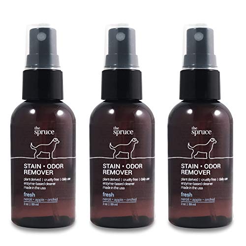 Spruce Cleaners The 15 best products compared Your Motor Guide