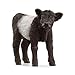 Produktbild SCHLEICH 13969 Galloway Kalb, ab 3 Jahren, Farm World - Spielfigur, 3 x 8 x 6 cm