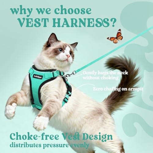 Image of rabbitgoo Cat Harness and Leash Set, Escape Proof Vest, Emerald | Soft Breathable Mesh, Easy Adjustable Fit, Snap Buckles, Sturdy Clip, Reflective Strips, for Average Cats Walks, S