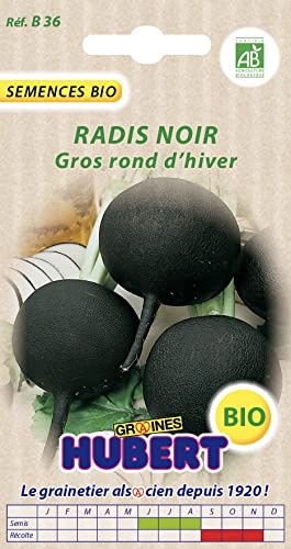 Graines de Radis Noir Gros Rond d'Hiver BIO - 5 grammes