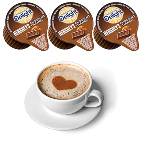 International Delights Hershey's Chocolate Caramel Coffee Creamer Singles - 24 Count, Includes One (1) Long Handle Coffee Stirrer (Color May Vary) #TOP1