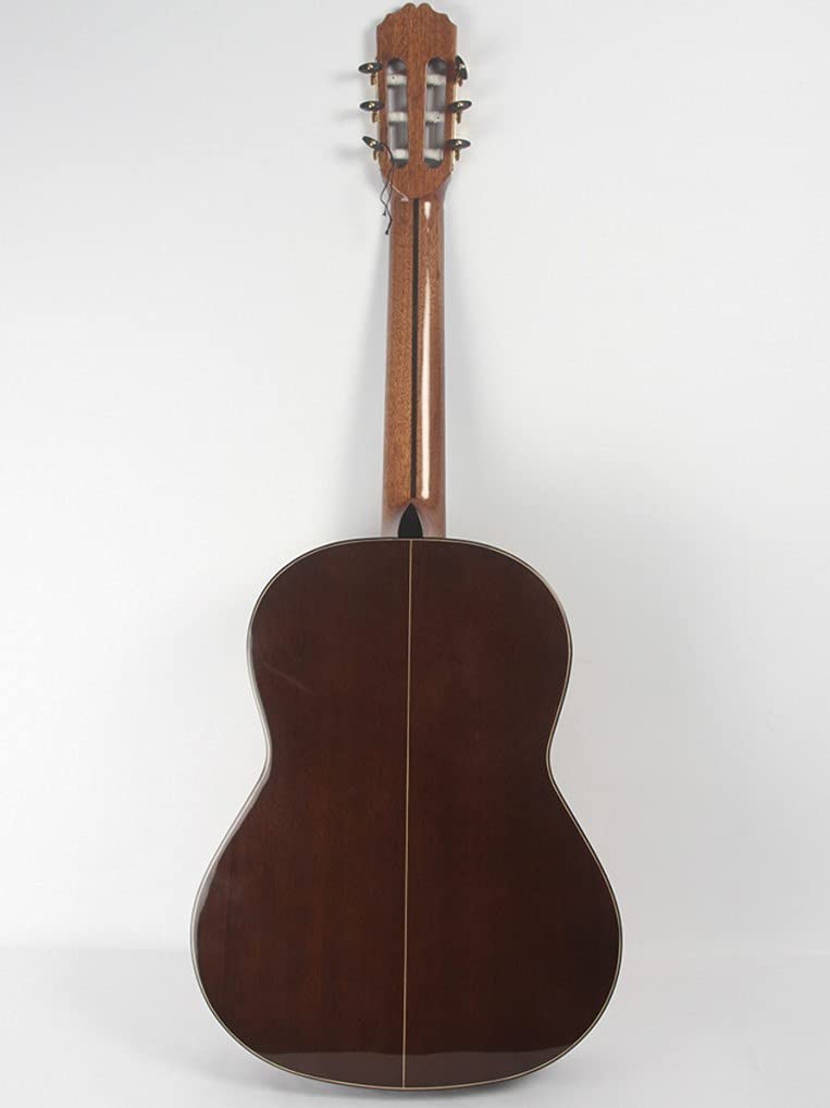 Nuevo Guitarra Jose Torres Jt 450 | Compra Online a Precios Super Baratos