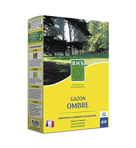 BHS GZO1 | 1 kg | 40 m2 | Césped Sombra | Zonas sombreadas | Se instala rápidamente y Ofrece una Buena Densidad | Mantiene un Buen Aspecto Todo el año
