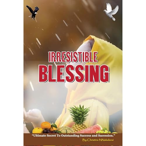 Irresistible Blessing Audiolibro Por Christine Nnakalanzi arte de portada