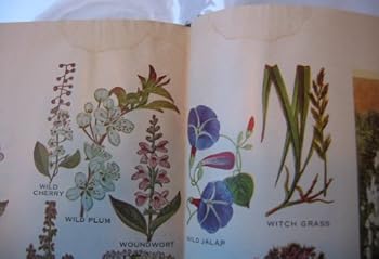 Paperback The Herbalist Book