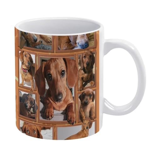 _bNXtg   }OJbv   킢 yMtg R[q[Jbv Z~bN Z~bN}OJbv ڈpR[q[Jbv y a v[g 330ml