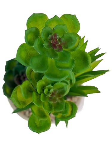 Image of Artificial Succulent Plant in White Ceramic Pot, Realistic Faux Greenery for Home Office Desk Tabletop Decor, Low Maintenance Long-Lasting Indoor Decorative Plant (A)