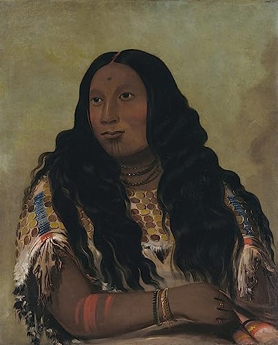 Toile murale salon grand format George Catlin deco murale
