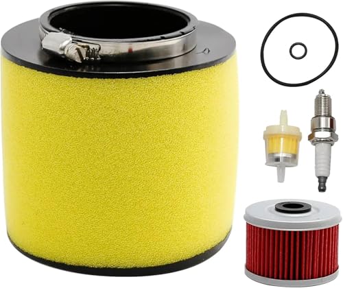 Filtre à air moto contre la poussière du Honda Foreman TRX450