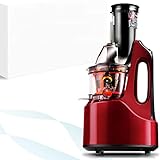 Vertical Grind Cold Press Juicer, Anti-Oxidation Wide Chute Slow Grinding Juicer with 60 RPM 240W AC...