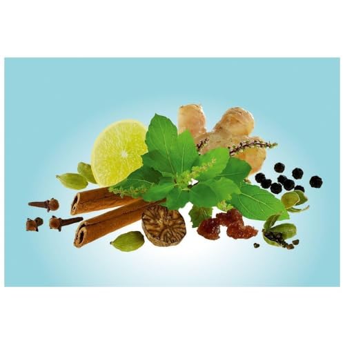 Té verde detox pack 72 bolsitas miniatura 2