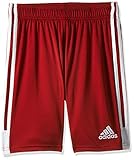 adidas Herren TASTIGO19 Shorts, power red/White, L