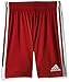 Produktbild adidas Herren TASTIGO19 Shorts, power red/White, XL
