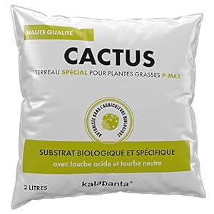 Kalapanta Terreau Cactus, Plan...