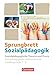 Produktbild Sprungbrett Sozialpädagogik - Kinderpflege, Sozialpädagogische Assistenz und Sozialassistenz - Sozialpädagogische Assistenzkräfte - Handlungsfeld 1-5: Sozialpädagogische Theorie und Praxis - Schulbuch