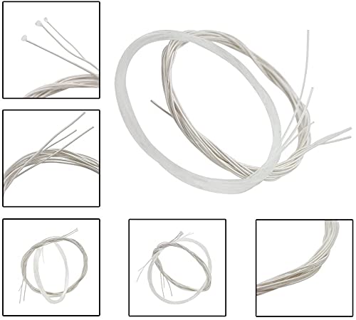 Lot de 6 cordes en nylon transparent pour guitare classique 1ère et 6ème (.028-.043) - Les Beatles, Paul McCartney, John Lennon, RIngo Starr, George Harrison Lot de 6 cordes en nylon transparent pour guitare classique 1ère et 6ème (.028-.043) – Image 3