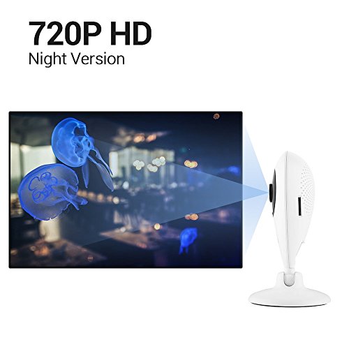 OzWi - Telecamera Wi-Fi IP Wireless 720P HD