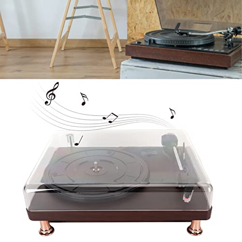 Tourne-Disque Vinyle, Tourne-Disque Stéréo Rétro 3 Vitesses, Phonographe Vintage, Entrée AUX et Sortie RCA, Interface 3,5 Mm - Les Beatles, Paul McCartney, John Lennon, RIngo Starr, George Harrison Tourne-Disque Vinyle, Tourne-Disque Stéréo Rétro 3 Vitesses, Phonographe Vintage, Entrée AUX et Sortie RCA, Interface 3,5 Mm – Image 8