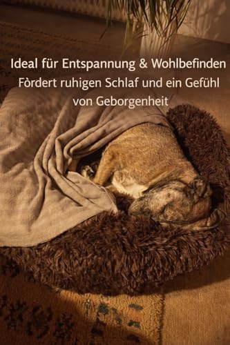 pfoten&nasen® Wolke 7 Hundebett S [Dunkelgrau, 65 cm] – Donut-Kissen für kleine Hunde & Katzen – Waschbar & besonders weich mit abnehmbarem Bezug