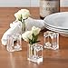 Deco-Mate Acrylic Napkin Rings Bud Vase Flower Holder – Clear - Table Décor, 2-in 1 (Bulk Set) Wholesale (24)
