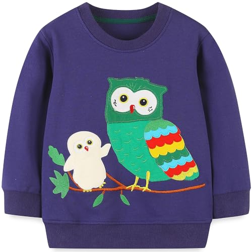 Image of Popshion Toddler Boys Sweatshirts Dinosaur Long Sleeve Pullover Crewneck Shirts Cartoon Tee Sport Tops for Kids 1-8T