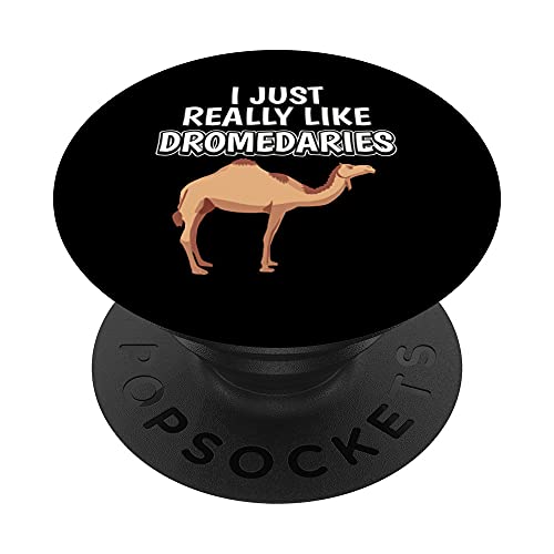 I Just Really Like Dromedaries Dromedario PopSockets PopGrip Intercambiable