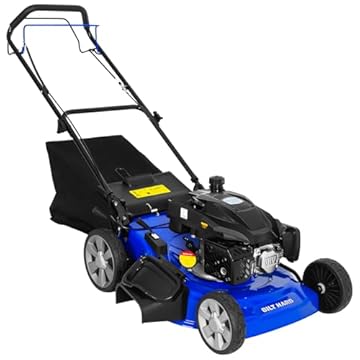 best self propelled lawn mower for bagging